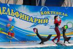 Дельфинарий в Коктебеле - Дельфинарий в Коктебеле